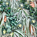 Платицериум 48 см