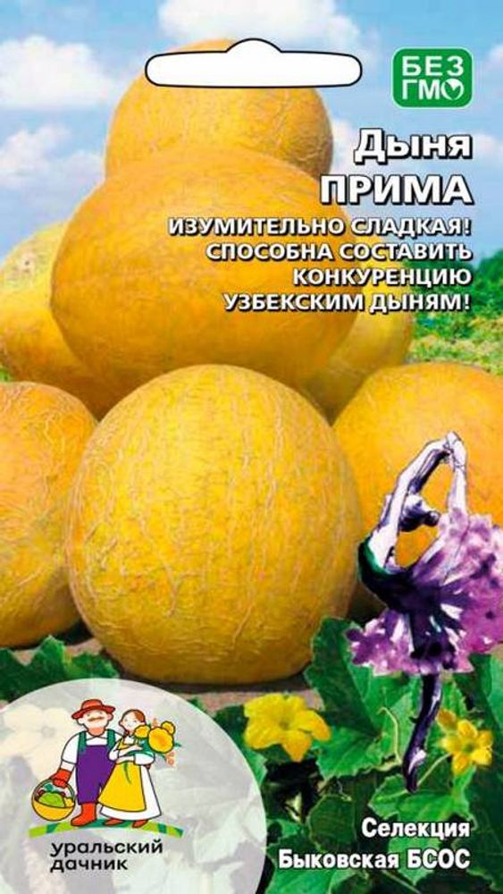 Дыня &quot;G. Прима&quot; 10шт., Россия.
