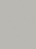 Пантон - 21 (светло-серая)