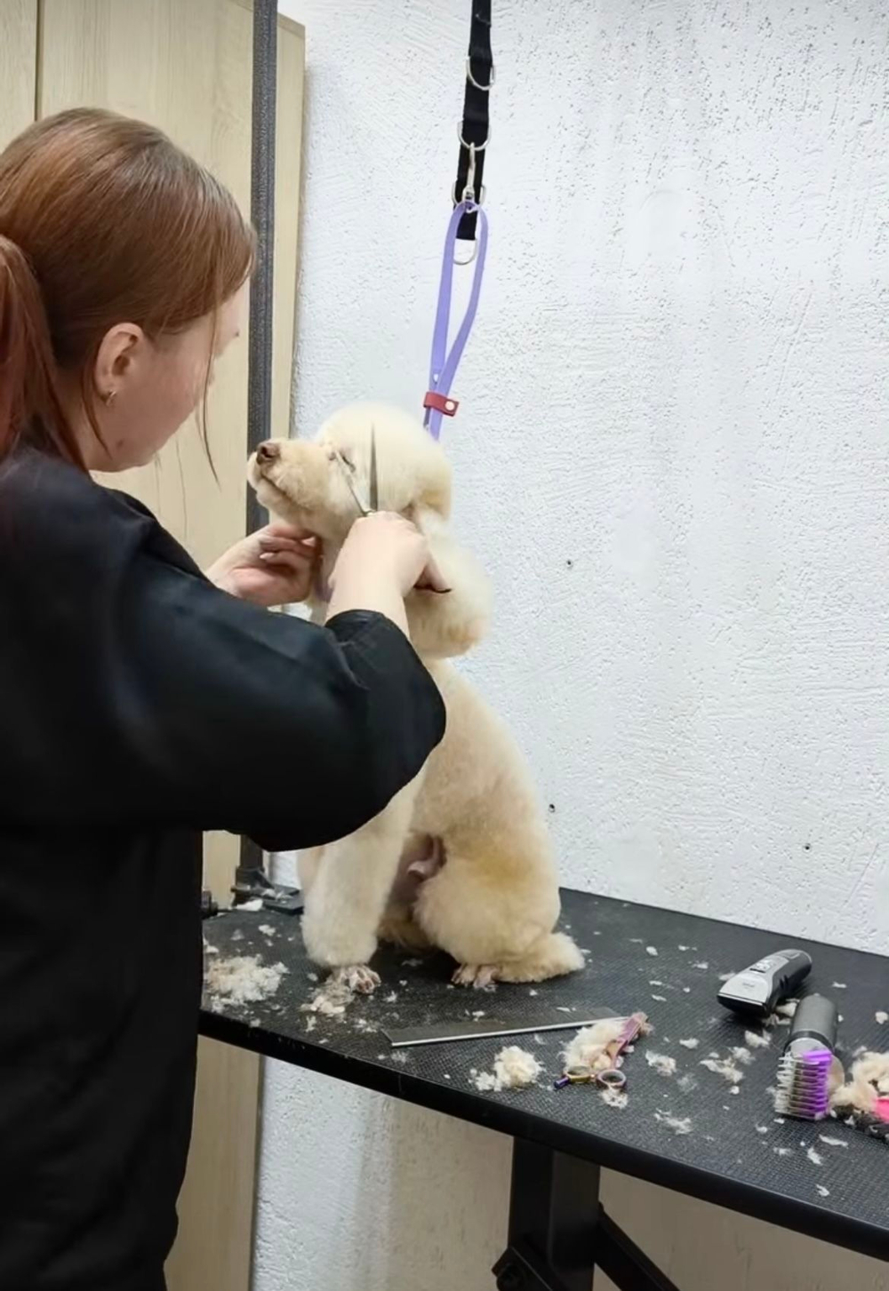 Ринговка груминга из биотана , ширина 15 мм, длина 50 см., зебра