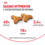 Royal Canin Bengal Adult Корм сухой сбалансированный для взрослых бенгальских кошек старше 12 месяцев 2 кг