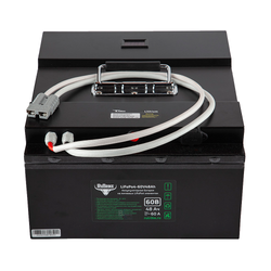 Литий-железо-фосфатный Аккумулятор RuTrike (LiFePo4) 60V48A/H(60A)