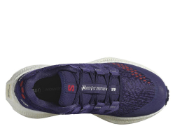 Кроссовки для бега женские Salomon Aero Glide 3 GRVL W Фиолетовые