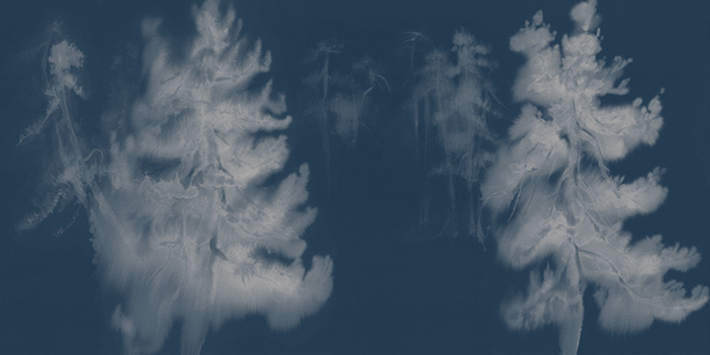 Фреска Applico, коллекция Natura