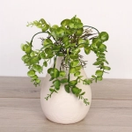 Искусственные цветы «Волшебство трав» 35см Эвкалипт темно-зеленый