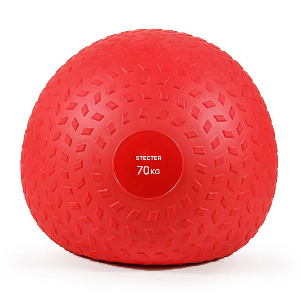 Слэмбол (SlamBall) 70кг