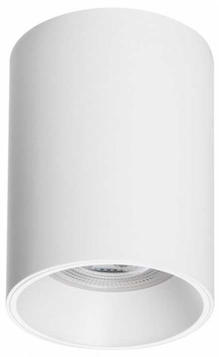 Накладной светильник Lightstar Rullo 213436