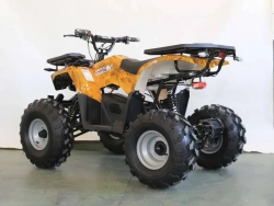 Электроквадроцикл Green Camel Атакама T240 (48V 1000W R8 Дифференциал) пониженная