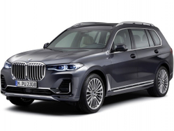 Автоковрики для BMW X7
