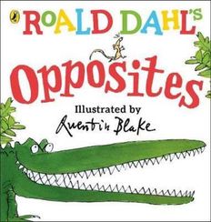 Roald Dahl's Opposites : (Lift-the-Flap)