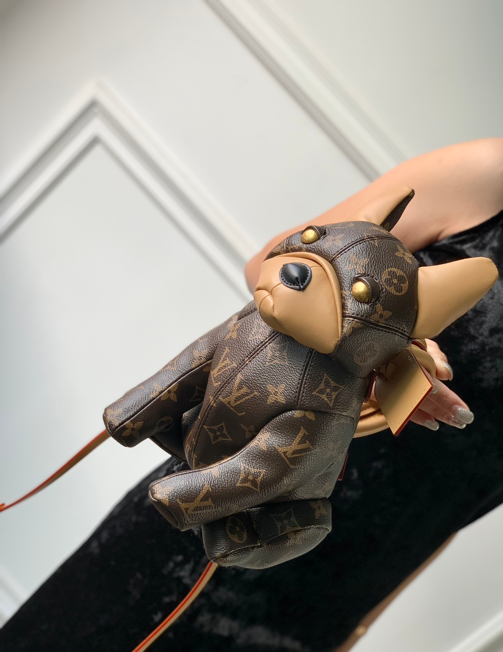 Louis Vuitton Pooch Bag