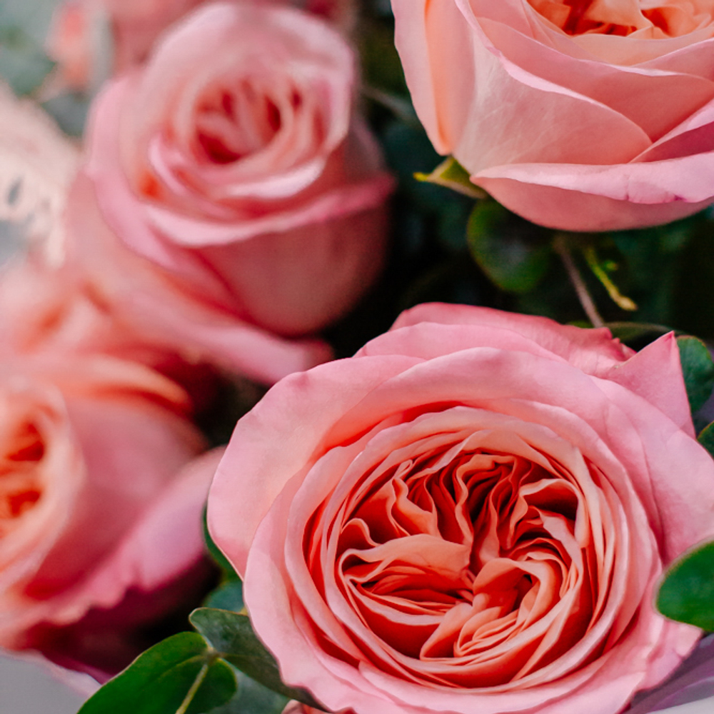 81. Нежный эффектный букет из пионовидных роз и эвкалипта