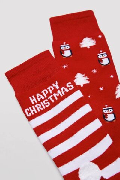 22173 Носки мужские 2 пары в упаковке YSABEL MORA