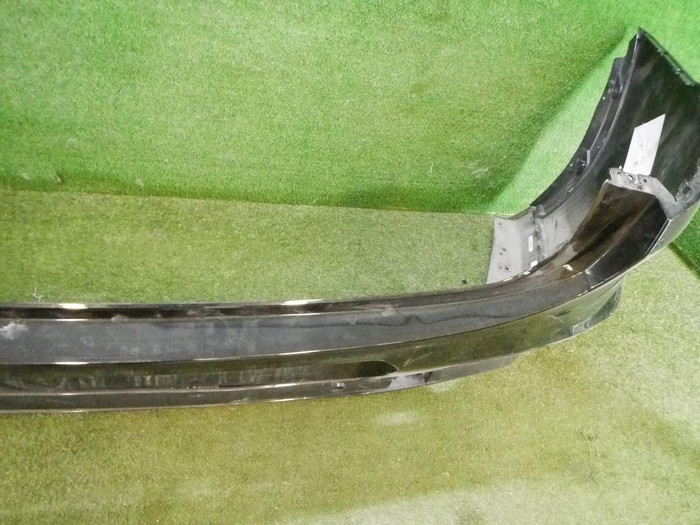 DSCN8093.jpg