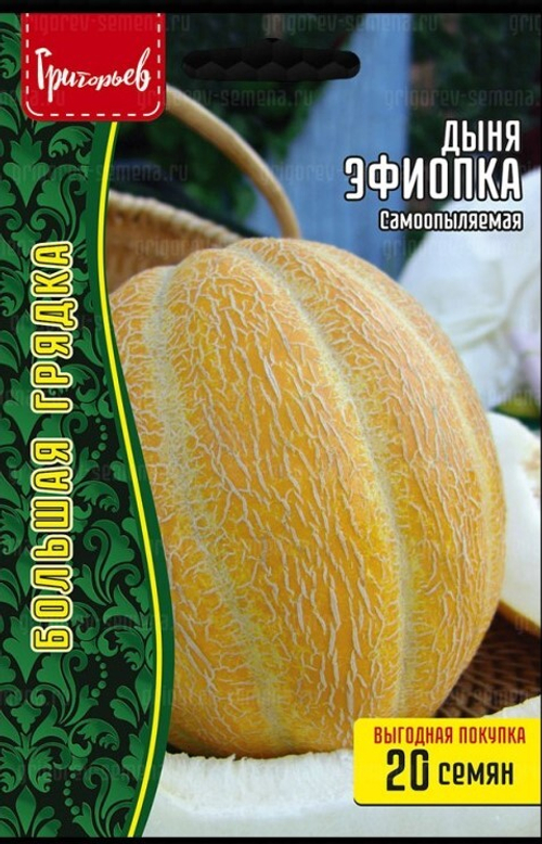 Дыня Эфиопка