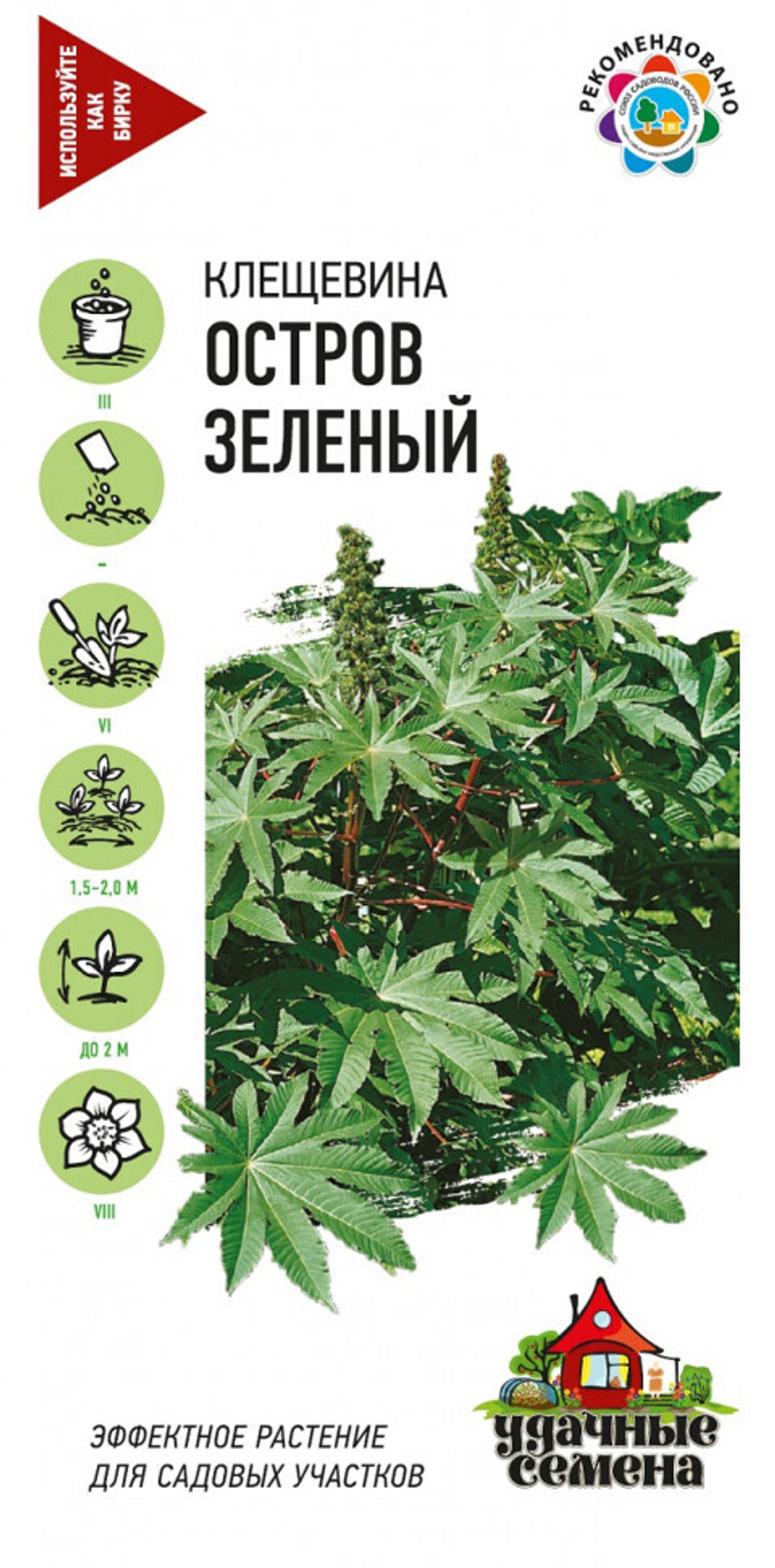 Клещевина декоративная Остров зеленый