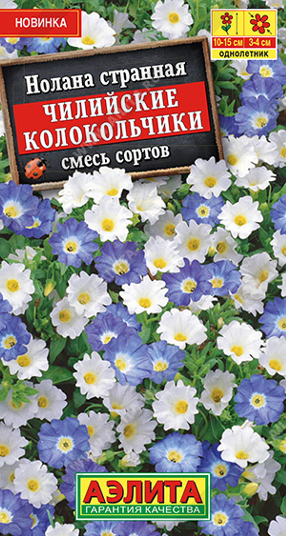 Нолана Чилийские колокольчики, смесь окрасок