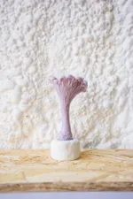 Свеча Unification Love Гриб Лисичка лиловая (черная смородина)