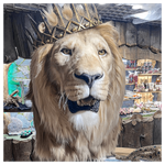 Реплика головы «Африканский лев» король