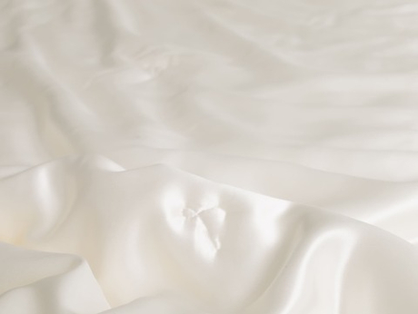 Одеяло шелковое всесезонное 200х220 Luxe Dream Luxury Silk