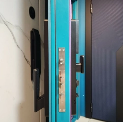 Dircode S800-3D Sciener, смарт замок с распознаванием лица