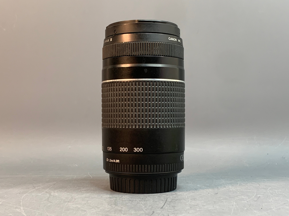 Canon EF 75-300mm 4-5.6 III