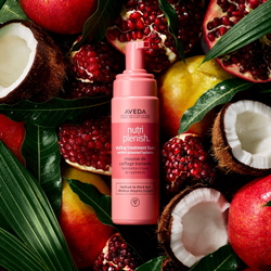 Aveda Nutriplenish™ Styling Treatment Foam - Увлажняющий и сияющий мусс для укладки /   200  ml  / GTIN 18084042984
