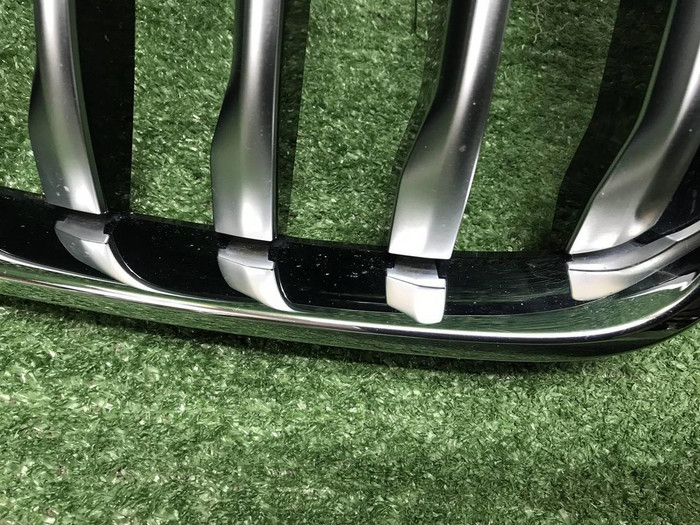 Решетка радиатора BMW X7 G07 (2019-2022)