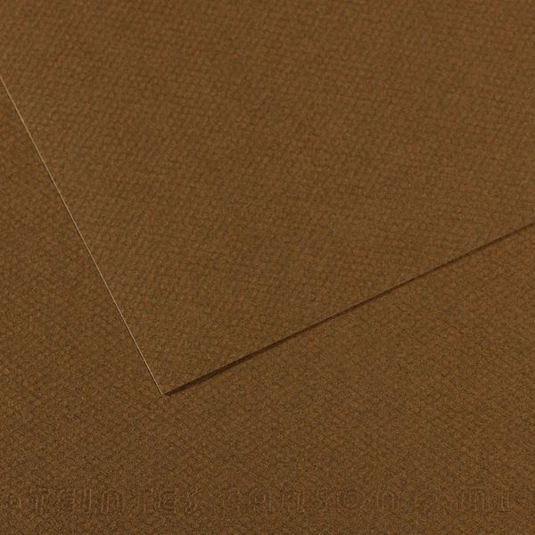 Бумага для пастели Mi-Teintes 160 г/м², 75х110 см, 10 л, №501 Каштановый, Canson, C31033S167