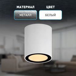 Светильник настенно-потолочный спот ЭРА OL48 WH/BK MR16 GU10 IP44 черный, белый