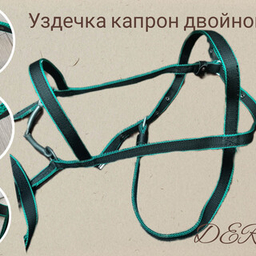 Уздечка