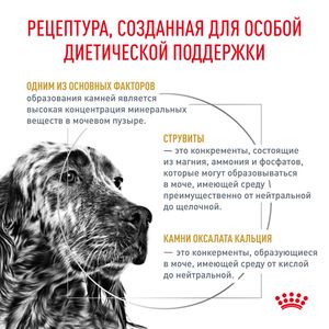 Сухой корм Royal Canin Urinary S/O для взрослых собак при мочекаменной болезни