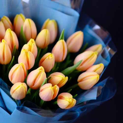 Купить Букет тюльпанов "Mango Charm" 25 шт.