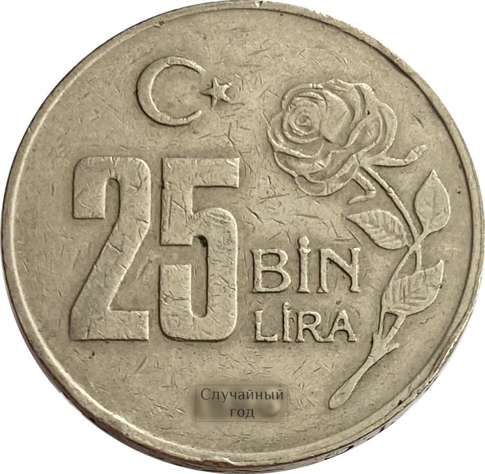 25 000 лир 1995-2000 Турция (25 Bin Lira)