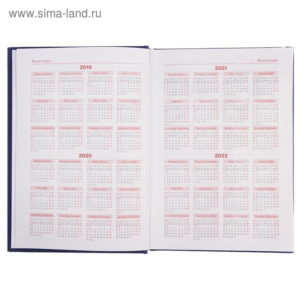 3838910 Ежедневник Вивелла
