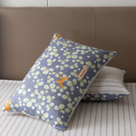 Комплект постельного белья Сатин 100% хлопок C597