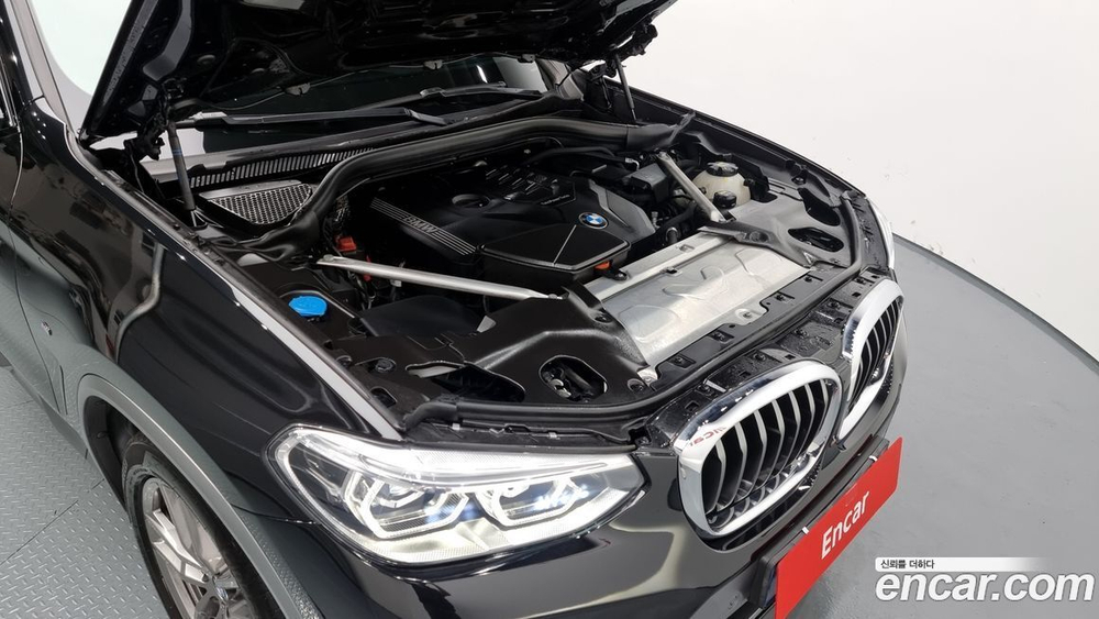 BMW X4 (G02) xDrive20i M Sports X (06.2021)