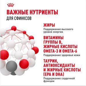 Сухой корм Royal Canin Sphynx Adult для взрослых кошек породы Сфинкс от 12 месяцев