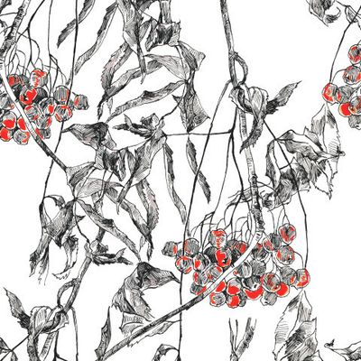 Зимняя рябина