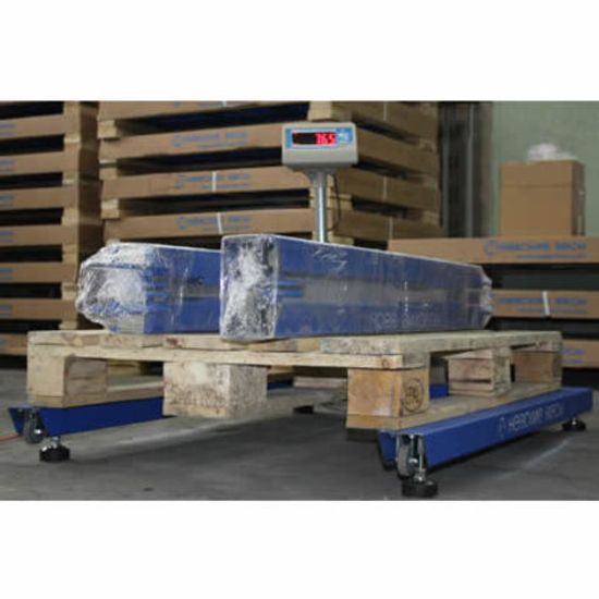 Весы паллетные ВСП4-600.2П9