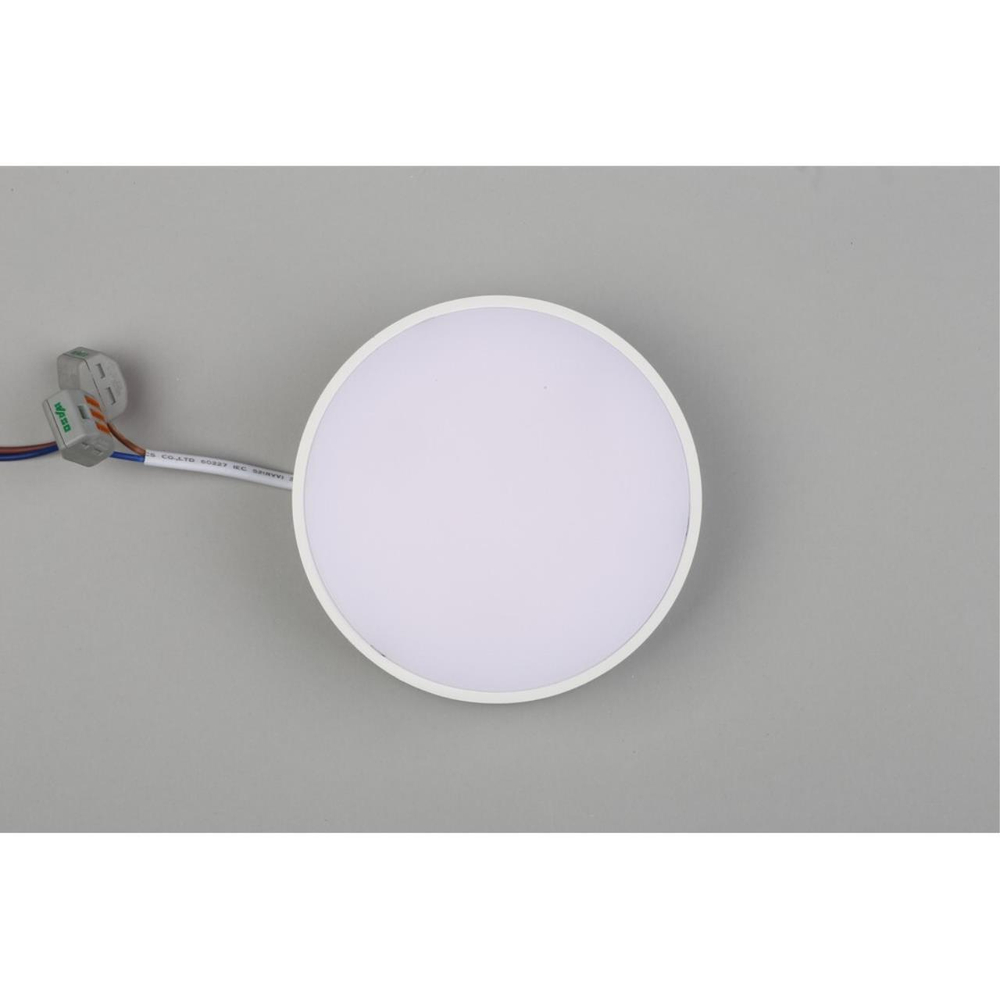 Потолочный светодиодный светильник Aployt Evon APL.0113.09.12