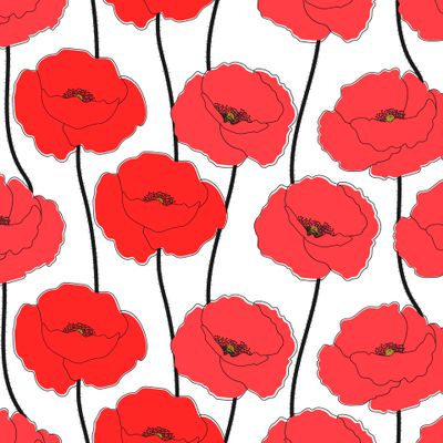 Цветы маки. Полевые цветы. Прованс