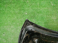 DSCN2407.jpg