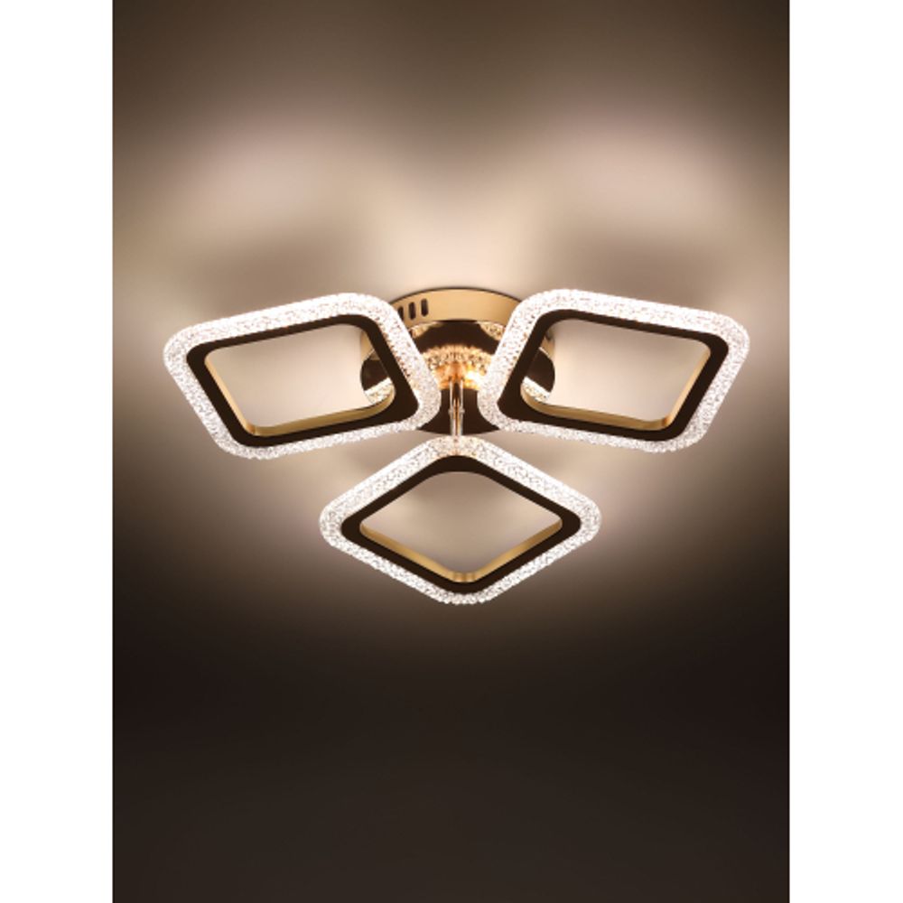 Светильник потолочный светодиодный Rivoli Frida 6190-703 LED 48Вт 3000-6000К с пультом | Rivoli