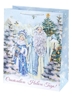 Бумажный пакет Дед Мороз и Снегурочка, 17.8Х22.9Х9.8.