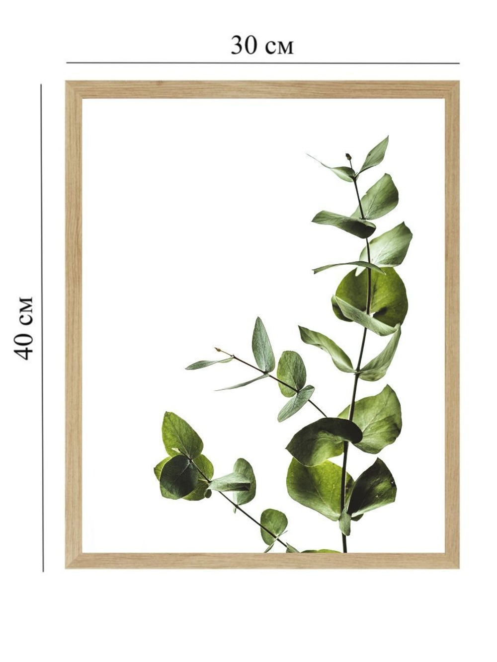 Набор постеров 30х40 растения 3 шт арт 156985535 ТТН 246259067