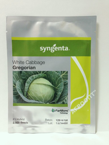 Грегориан F1 семена капусты белокочанной (Syngenta / Сингента) – фото 2