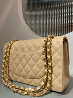 Chanel Classic 11.12 Handbag 25 cm