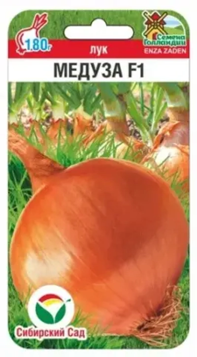 Лук репчатый Медуза F1 50шт (Сиб Сад)