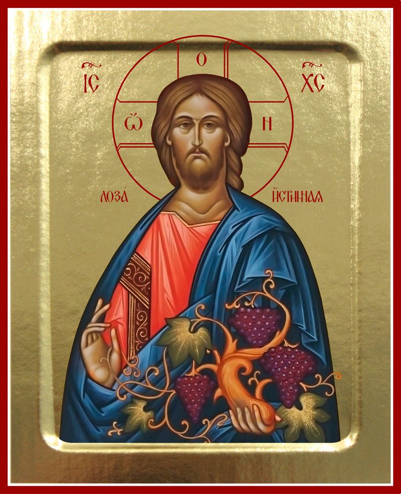 Копия 335 Спаситель Лоза истинная